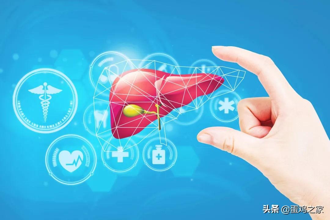 吃鸡蛋可以补硒（鸡蛋可以补硒吗）-硒宝网