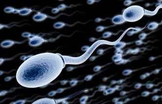 男人补锌能提高性功能吗（男人补锌增强性功能吗）-硒宝网