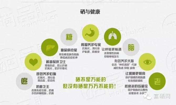 补硒改善循环吗（硒对脑循环的作用）-硒宝网