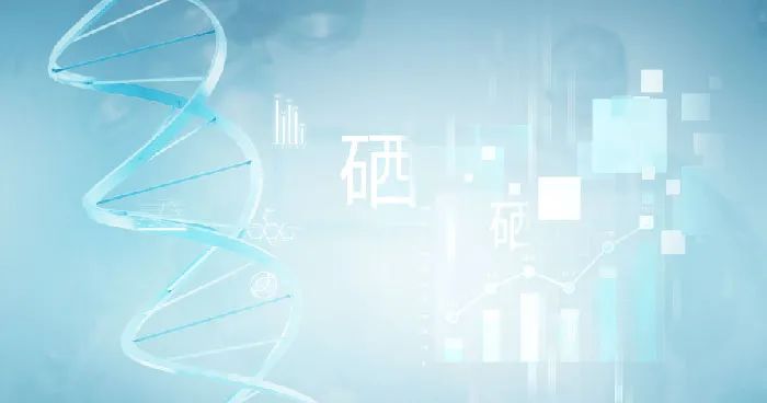 亚健康调理补硒（食补补硒）-硒宝网