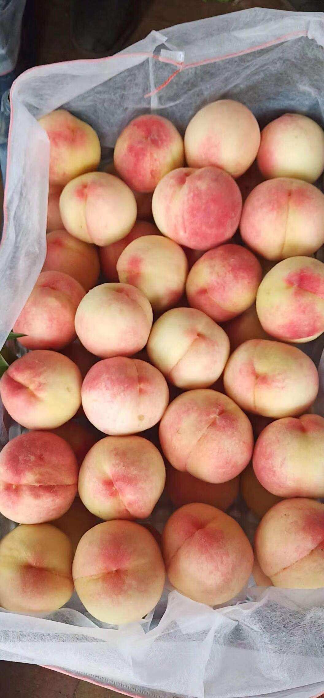 婴儿补铁吃什么食物好(婴儿食补补铁吃什么好)-硒宝网