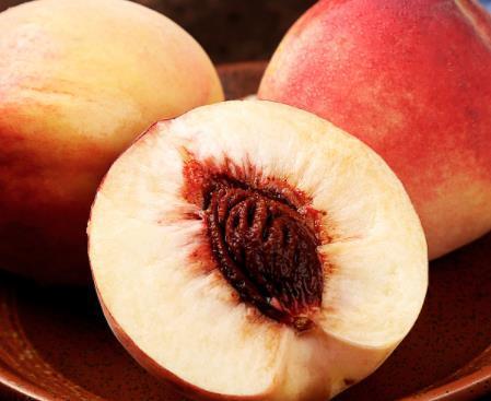 婴儿补铁吃什么食物好(婴儿食补补铁吃什么好)-硒宝网