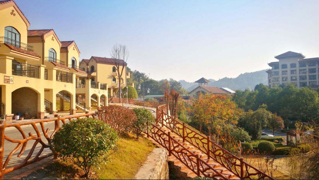 补硒改善循环吗(硒元素为什么可以修复细胞)-硒宝网