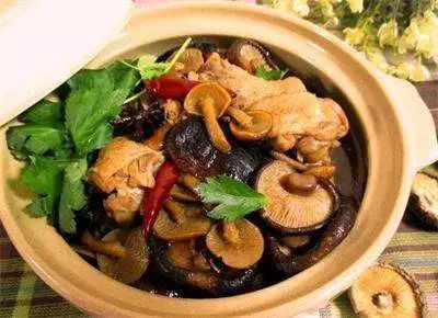 怎样给小鸡补硒(蛋鸡补硒)-硒宝网