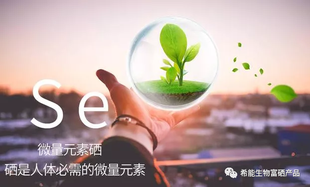 补硒哪个厂家好(补硒产品)-硒宝网