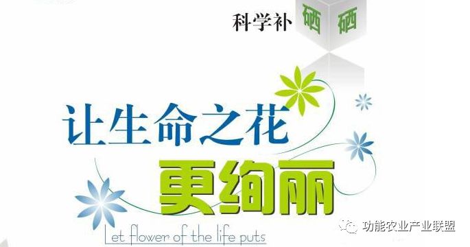 补硒推荐服用量(补硒吃多少)-硒宝网