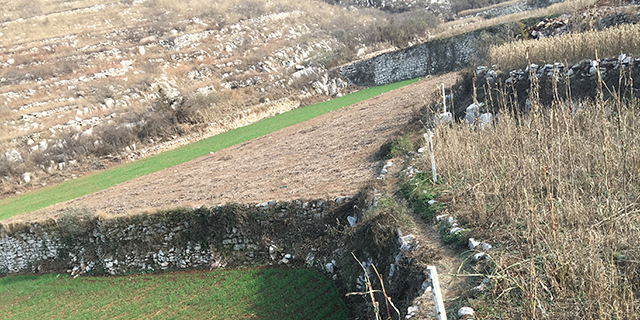 补硒哪种品牌好(最好的补硒产品排名)-硒宝网