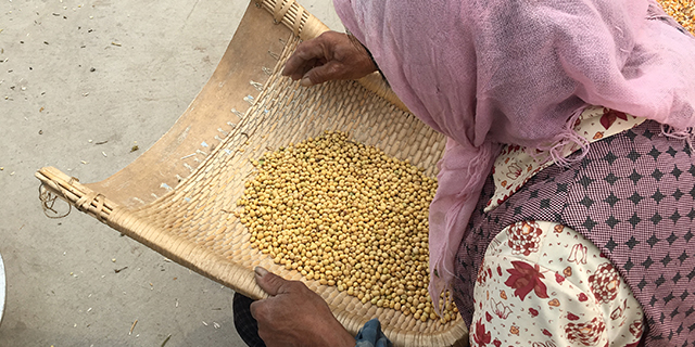 补硒哪种品牌好(最好的补硒产品排名)-硒宝网