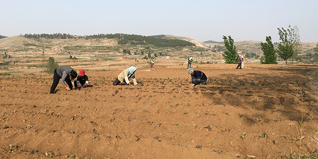 补硒哪种品牌好(最好的补硒产品排名)-硒宝网
