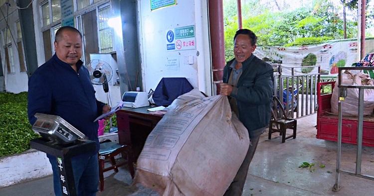 恩施全民补硒日（恩施硒元素对人体的作用）-硒宝网