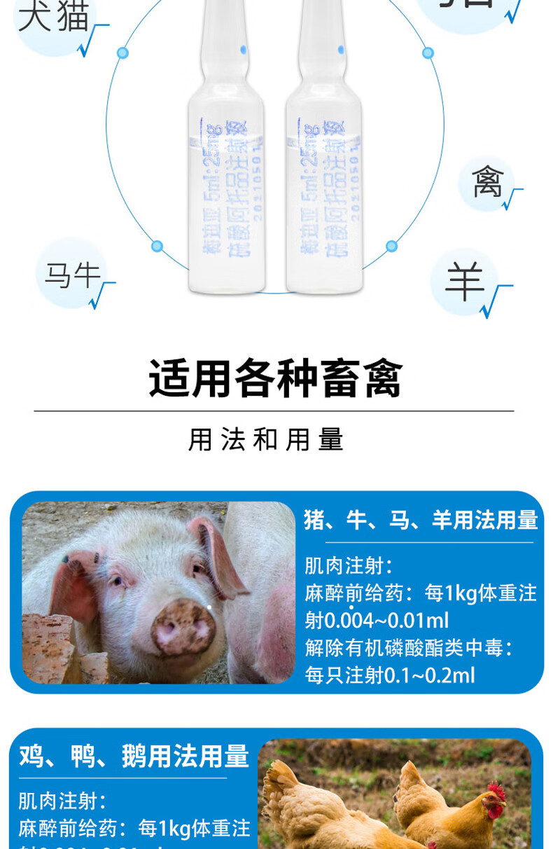 怎么给母猪补硒（母猪补硒用法及用量）-硒宝网