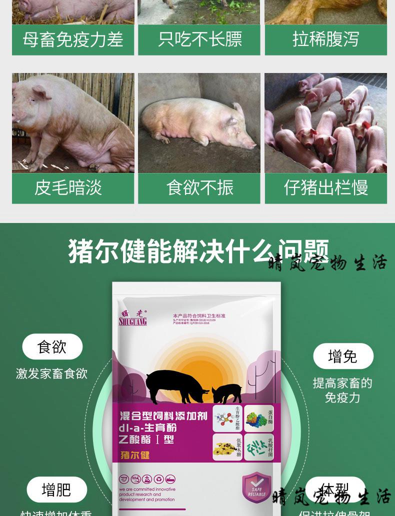 怎么给母猪补硒（母猪补硒用法及用量）-硒宝网