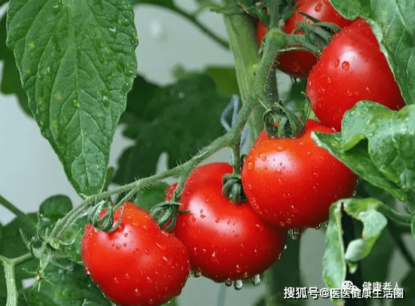 血糖高可以吃钙片补钙吗(钙片血糖高能吃吗)-硒宝网