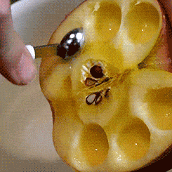 血糖高可以吃钙片补钙吗(钙片血糖高能吃吗)-硒宝网