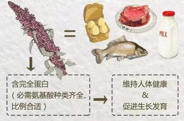 补硒后腹泻减少（补硒会不会拉肚子）-硒宝网