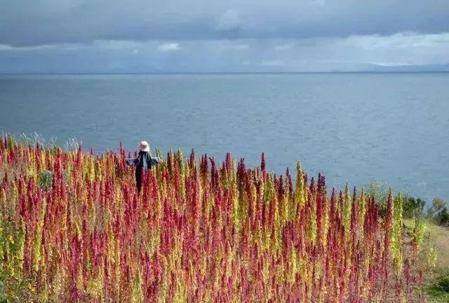 补硒后腹泻减少（补硒会不会拉肚子）-硒宝网