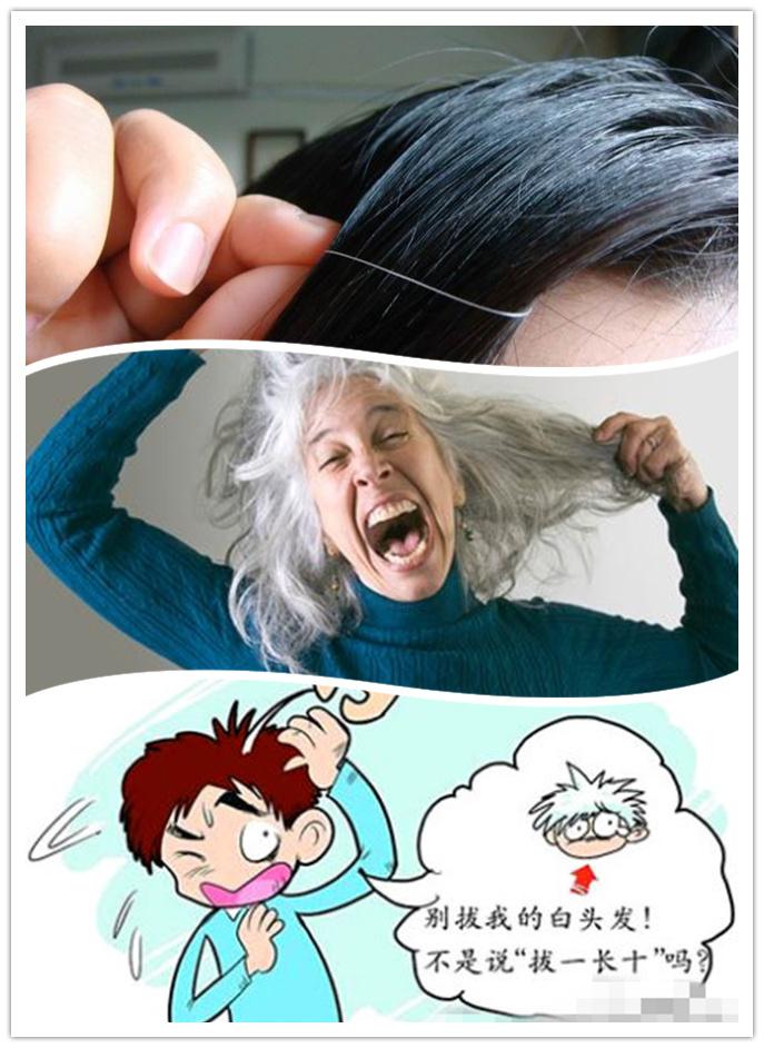 补硒能改善白发（白发能补改善硒元素吗）-硒宝网