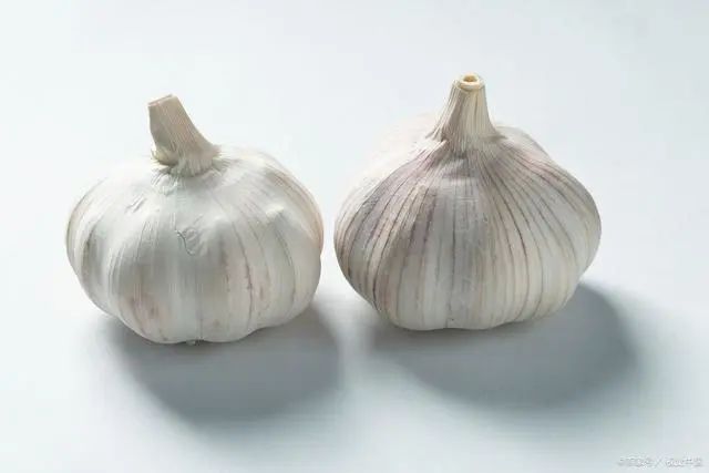 吃什么动物补硒(动物补硒的作用)-硒宝网