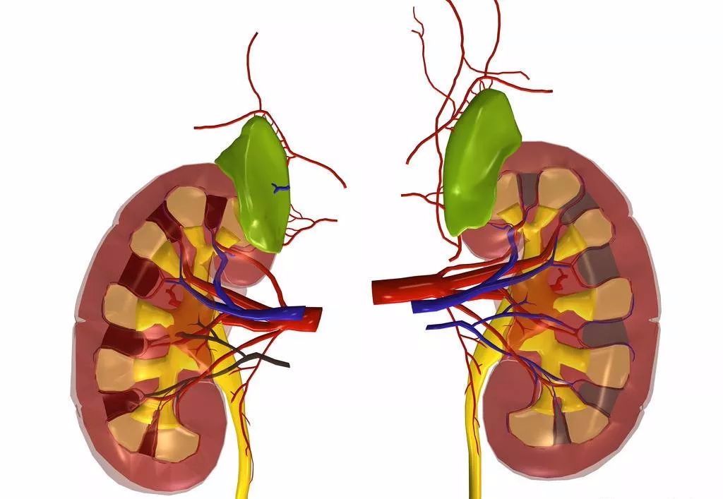 儿童补硒的功效（儿童补硒的作用）-硒宝网