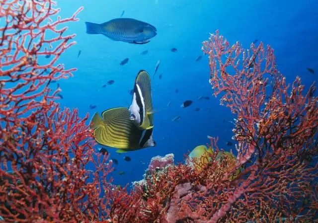 儿童补钙一年补几个月（娃儿补钙）-硒宝网