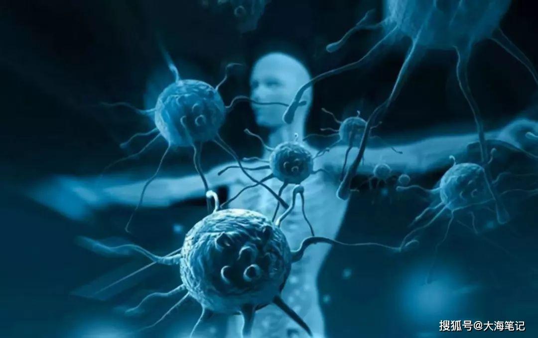 人体健康与补硒（人体补健康硒的好处）-硒宝网