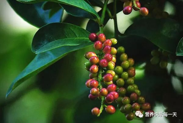 肝病补硒的方法(补肝病方法硒片有用吗)-硒宝网