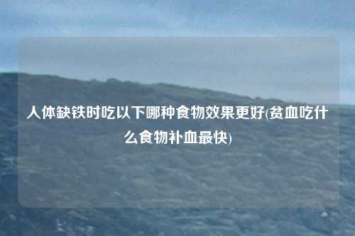 什么东西补铁效果好而且最快(补铁买什么)-硒宝网