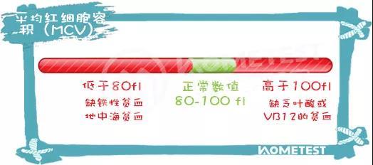 补铁吃什么药最好（补铁的药吃了会长胖吗）-硒宝网