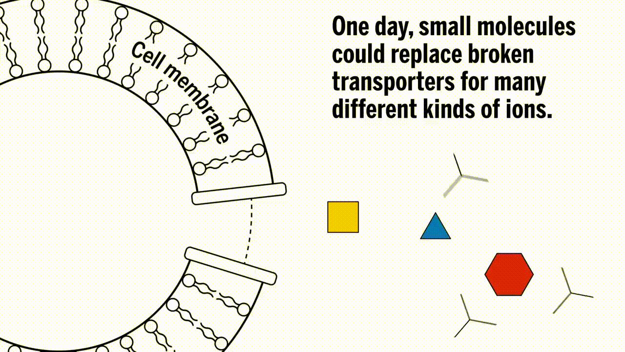 补铁吃什么药最好（补铁的药吃了会长胖吗）-硒宝网