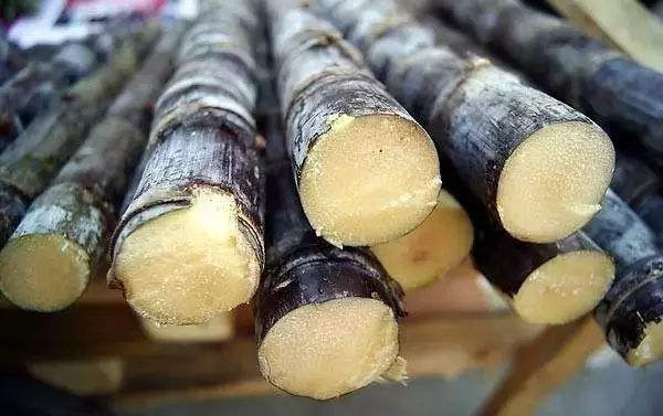 什么水果补锌效果最好(效果水果好补锌吗)-硒宝网