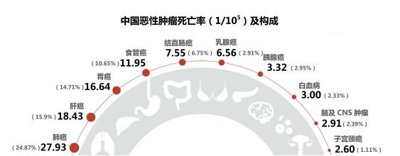 肿瘤专家谈补硒（在肿瘤治疗中补充硒元素）-硒宝网