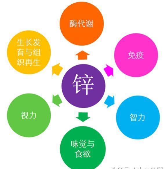 吃什么可以补锌最快（补锌可以吃药吗）-硒宝网