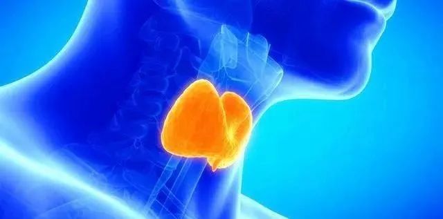 甲状腺补硒葆婴(补甲状腺硒葆婴有用吗)-硒宝网