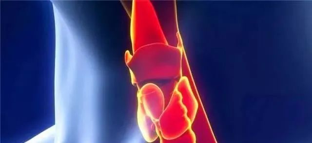 甲状腺补硒葆婴(补甲状腺硒葆婴有用吗)-硒宝网