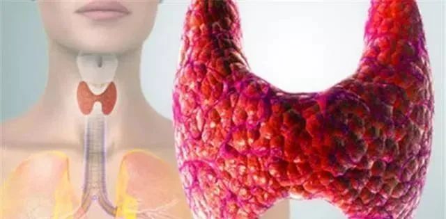 甲状腺补硒葆婴(补甲状腺硒葆婴有用吗)-硒宝网