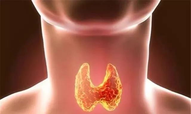 甲状腺补硒葆婴(补甲状腺硒葆婴有用吗)-硒宝网