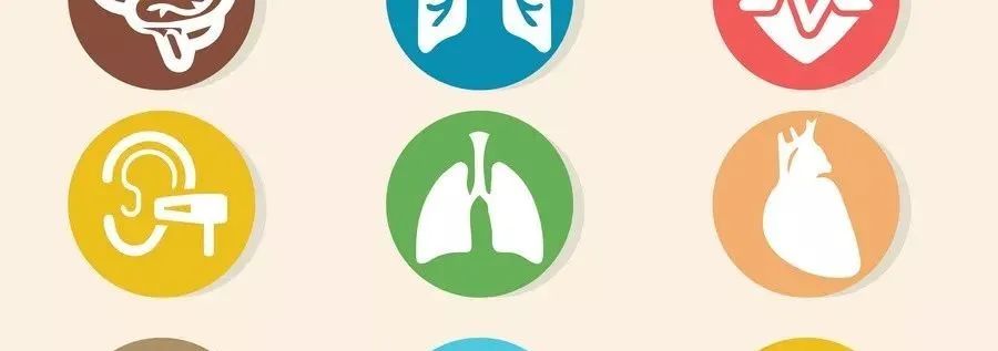 甲状腺补硒葆婴(补甲状腺硒葆婴有用吗)-硒宝网