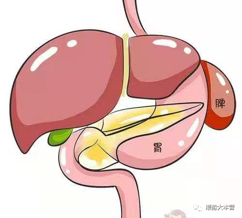 胃不好补硒好吗(最好的补硒食品)-硒宝网