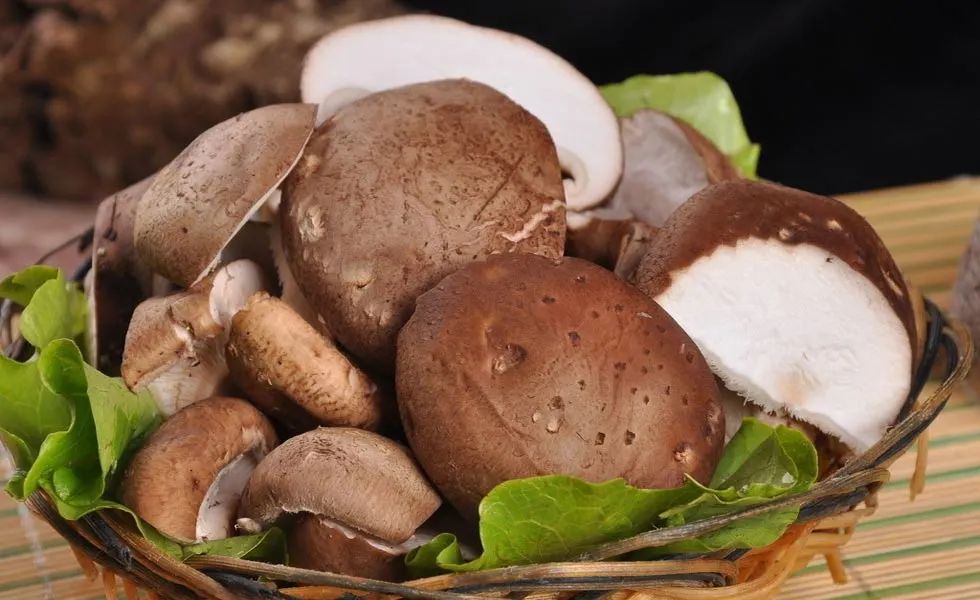 补硒能预防肺癌(补硒肺癌)-硒宝网