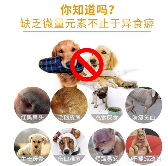 狗狗可以补硒吗(狗狗补硒可以长高吗)-硒宝网