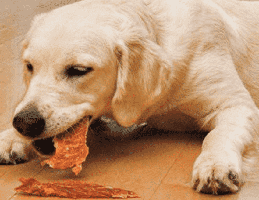 狗狗可以补硒吗(狗狗补硒可以长高吗)-硒宝网