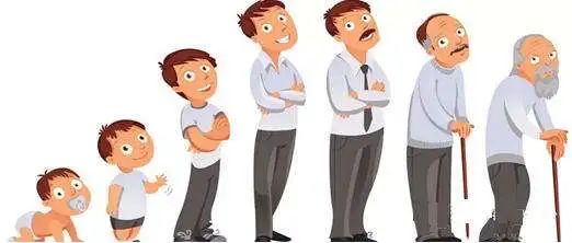 哪种中药能补硒(吃什么中药补硒)-硒宝网