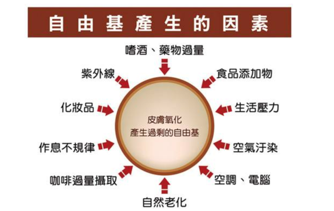 哪种中药能补硒(吃什么中药补硒)-硒宝网