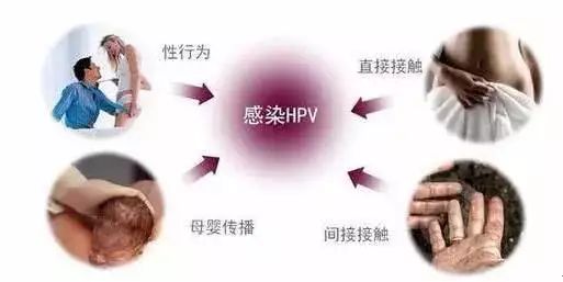 医生让补麦芽硒（麦芽硒补多了会有什么症状）-硒宝网