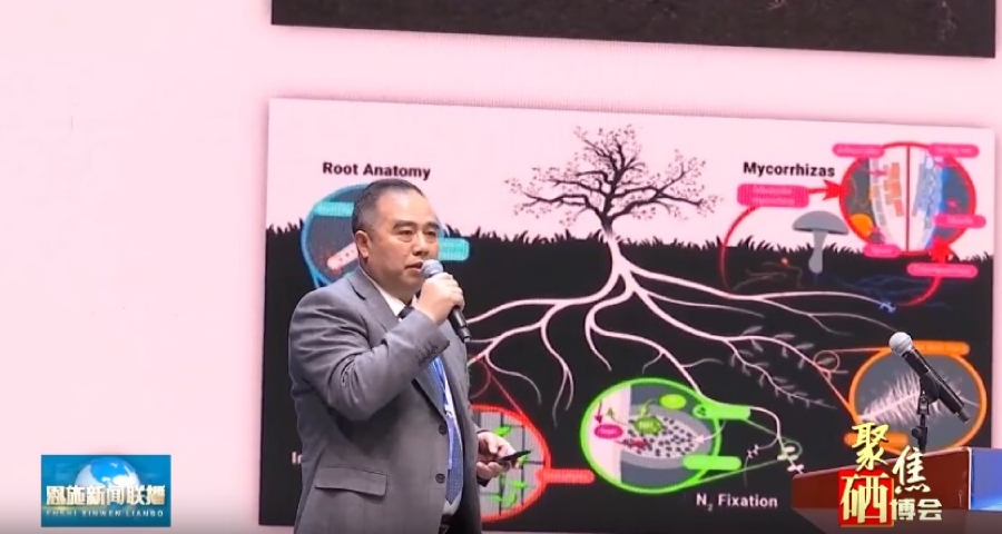罗红霞补硒大使(罗红霞补硒大使)-硒宝网