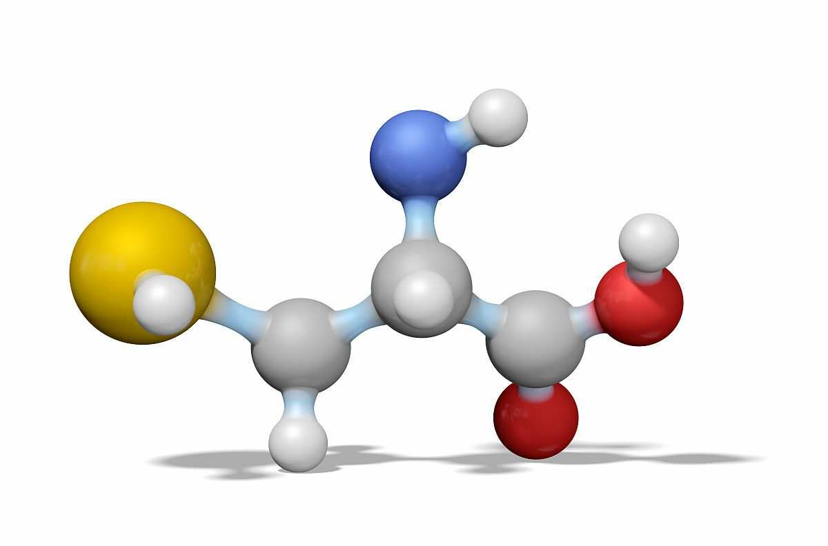 动物补硒的作用(动物硒缺乏的主要疾病类型)-硒宝网