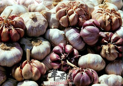 补硒对人体健康（身体健康补硒好吗）-硒宝网