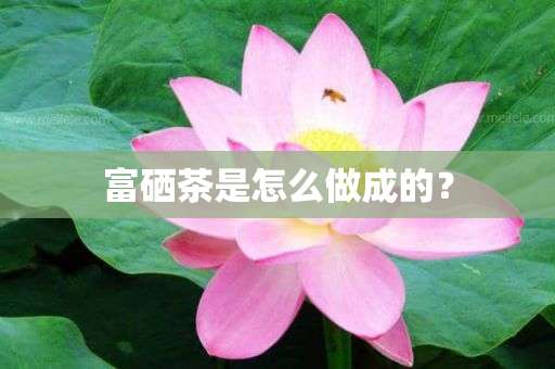 补硒为什么饭前(补硒饭前还是饭后)-硒宝网