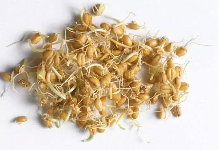 hpv补硒后痒（补硒hpv能转阴吗）-硒宝网