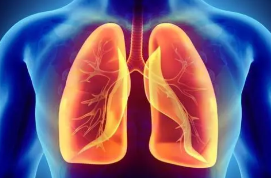 补麦芽硒的食物（补食物麦芽硒怎么吃）-硒宝网